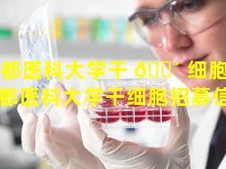 首都医科大学干 🐴 细胞招募（首都医科大学干细胞招募信息）